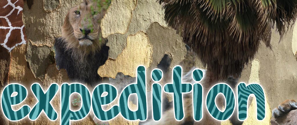 Aktuelles: Expeditionen in die Texterwelt