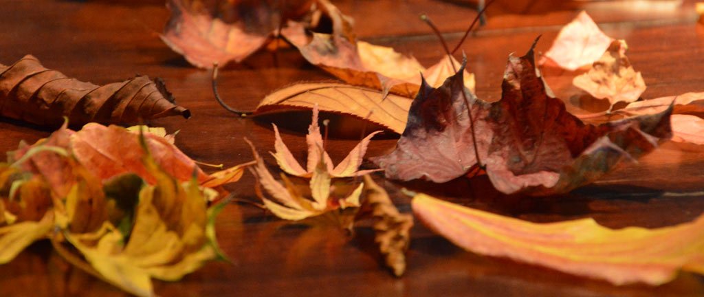 Ein beschriebenes Blatt ist noch lange kein Laub